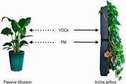 Investigating the role of indoor plants in reducing (absorbing) BTEX compounds from the air of indoor environments: a systematic review